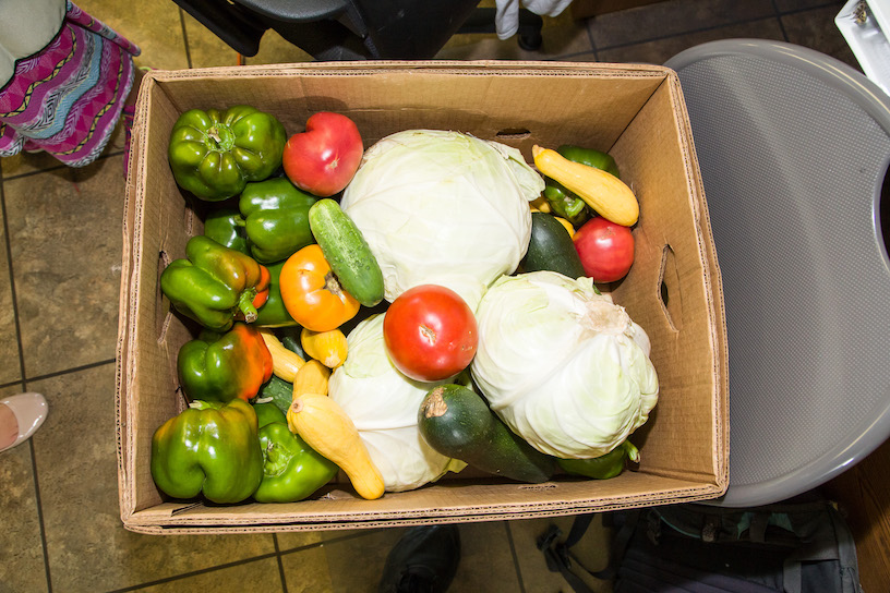 veggie in a box