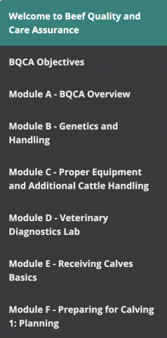 Beef Quality Care Assurance 