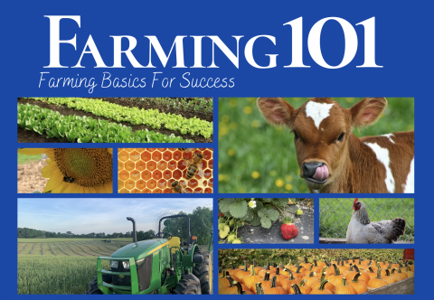 Farming 101