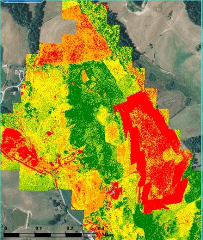 Infrared Drone Field Image