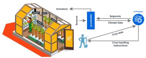 Using AI and Software in an Autonomous Greenhouse